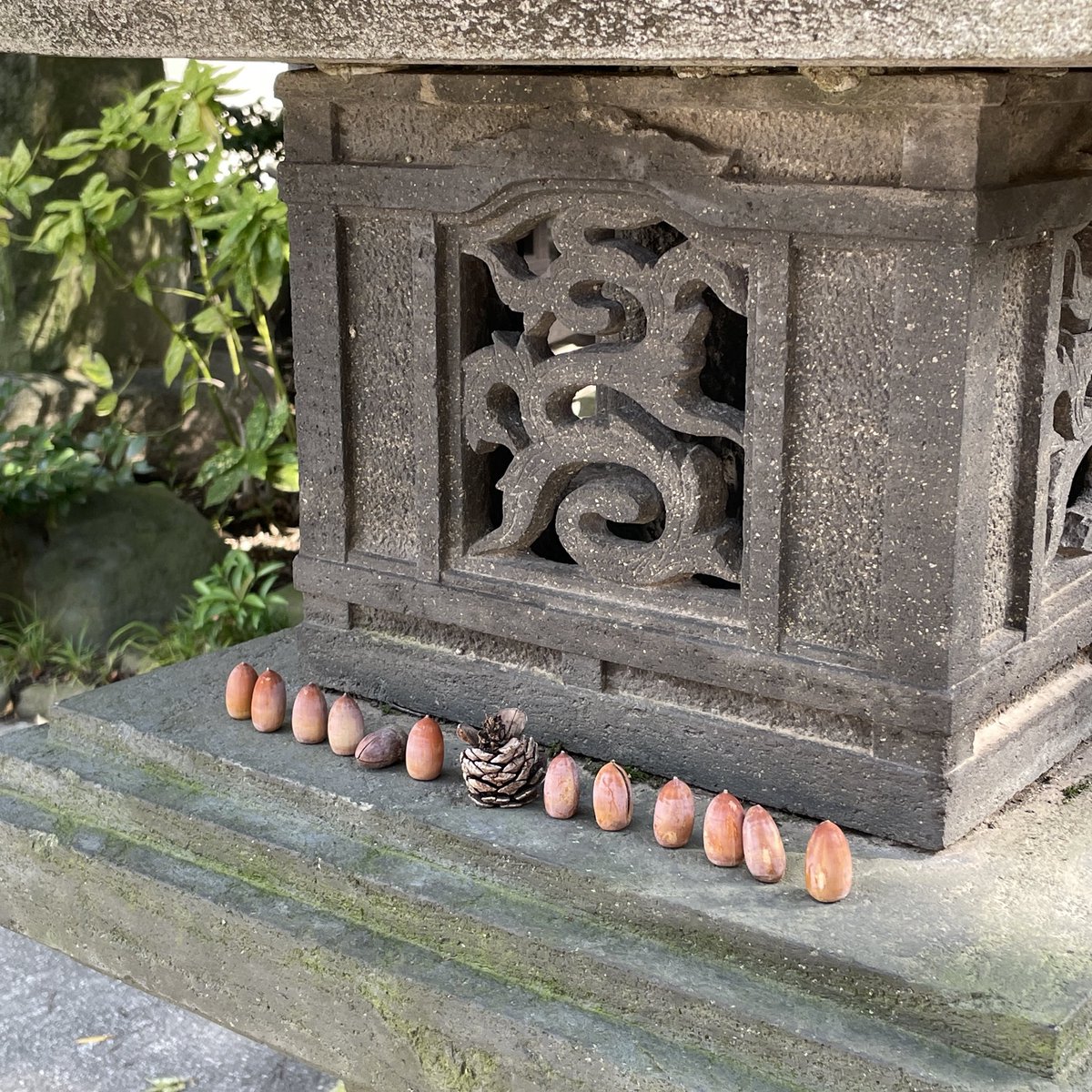 UMEyunagi's tweet photo. 今日は晴れてくれたのでお大師様へ
ポケGO相棒のニャオハちゃんとお散歩しました
日差しは強かったけど陽を浴びるのは気持ちいい

うちのメダカたち、やっとの晴れで餌をよく食べてくれました https://t.co/9OCQFISvo3