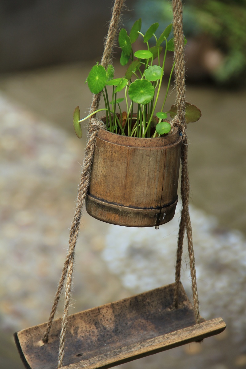 xsavima's tweet photo. Just finished my first DIY macramé plant hanger! No fancy tools needed, just some cotton cord and a simple knot tutorial  Small projects = big creative wins.， https://t.co/u581uhcN7W