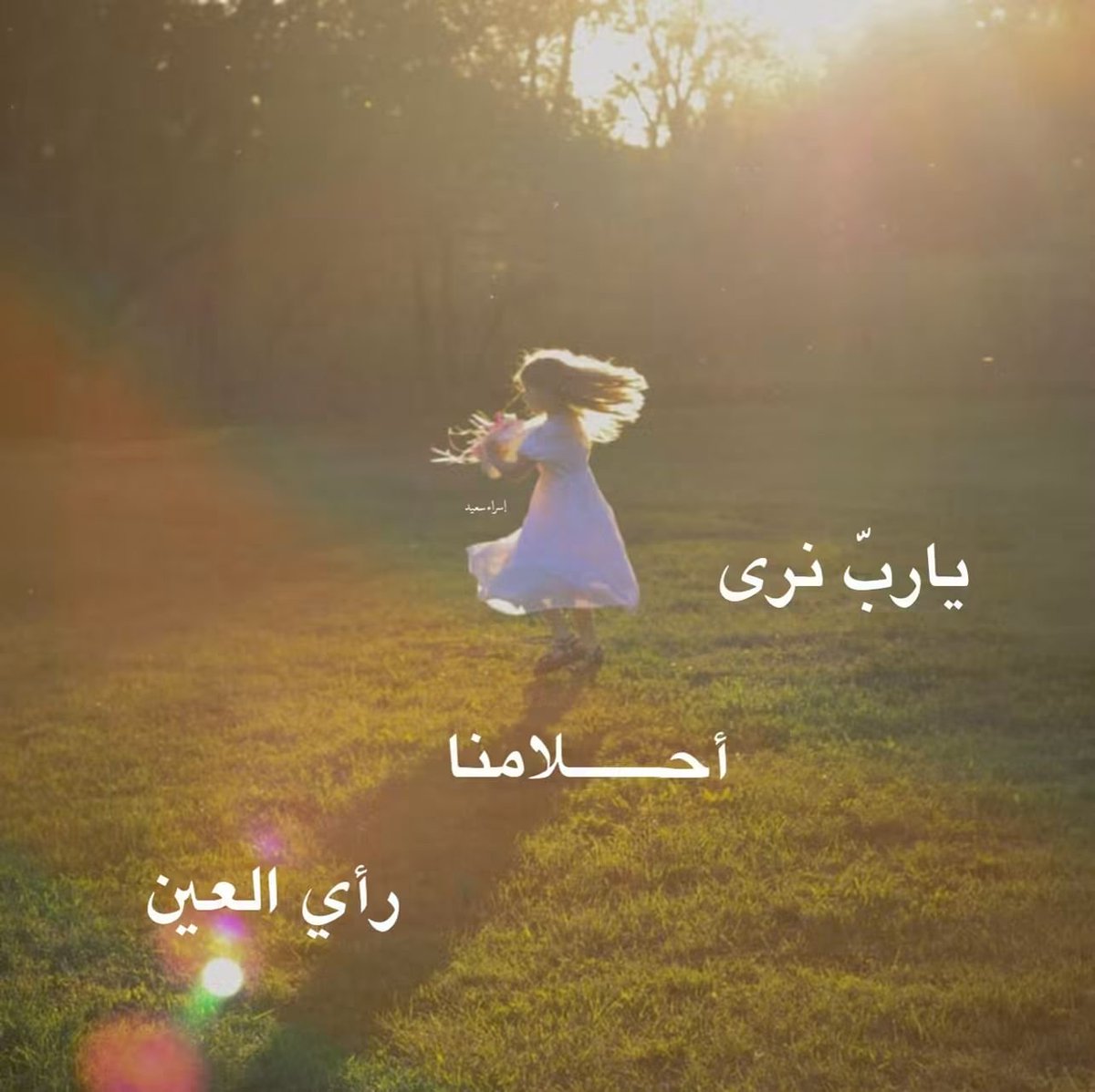 _Nosayba_'s tweet photo. https://t.co/oDoUJOpD6b