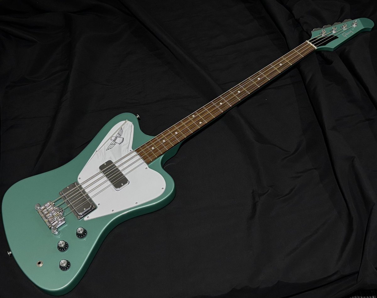 grandeybass_tyo's tweet photo. 【先取り大特価セール ※ベース目玉品】
Gibson
Non-Reverse Thunderbird

¥286,000➡¥199,000
全ベーシストの憧れサンダーバードが驚きの限定価格でご案内中🔥

ステージで目を惹く特徴的なスタイリングと https://t.co/WsjRMN2EzC