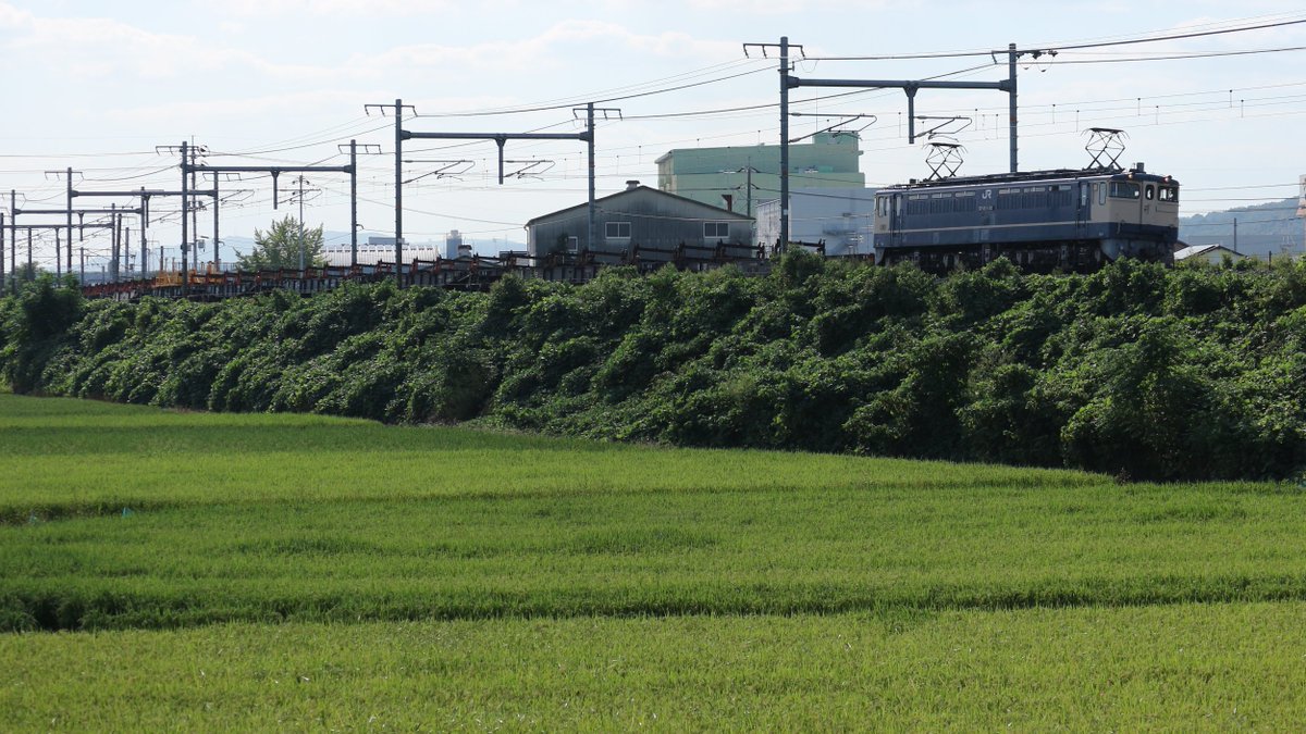 981151001's tweet photo. #こんばんはトレイン
今日もロンチキの返却走りましたね～
EF65 1132号機＆ロンチキ12両
ドアの向こうに運転手さんの影を入れて
こんばんは🤗 https://t.co/pqdiutMbC1