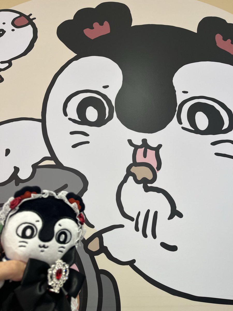 qxbe8o's tweet photo. 明日のお弁当の準備
豚の味噌漬け
#味噌漬け　#ちいかわ  #セイレーン https://t.co/cr5l9Bj7pX