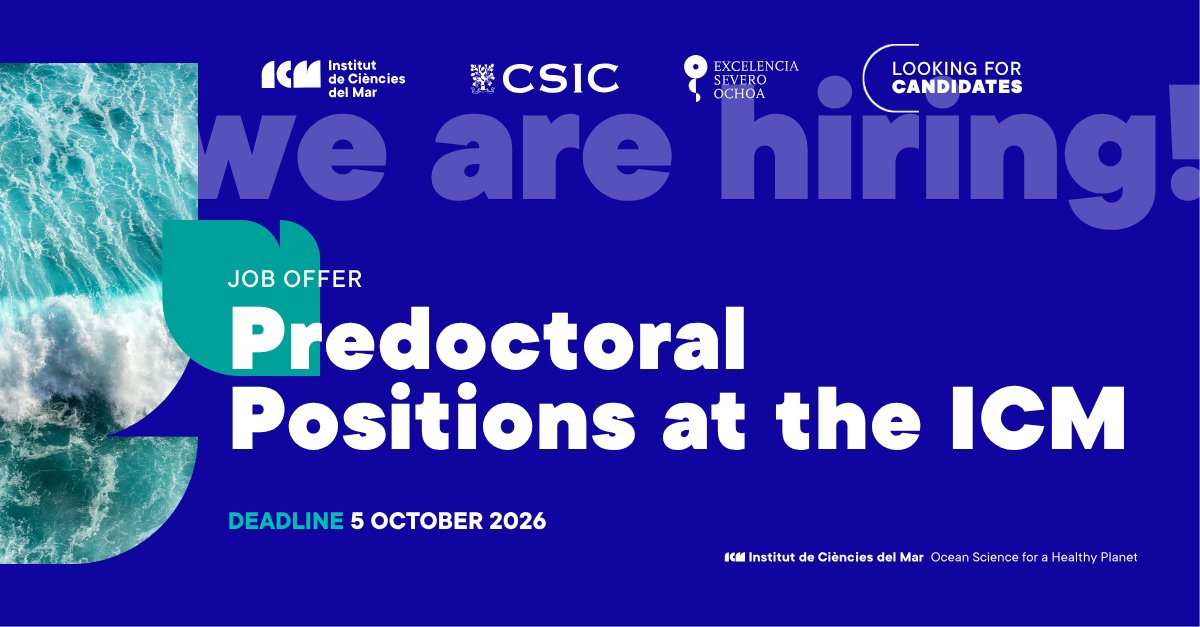 ICMCSIC's tweet photo. 🚨 We offer 10 fully funded PhD positions to tackle major ocean challenges!

💸 Includes a 4-year contract, research funding, training, and international mobility.

📩 Apply now: https://t.co/GOoQ4VJSFE https://t.co/4f9mNoS1WE