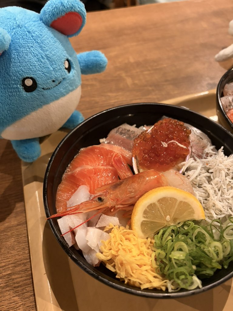 hungry_kirby's tweet photo. 和歌山「マリ」ーナシティにきたマリ https://t.co/4lr2FScsq9