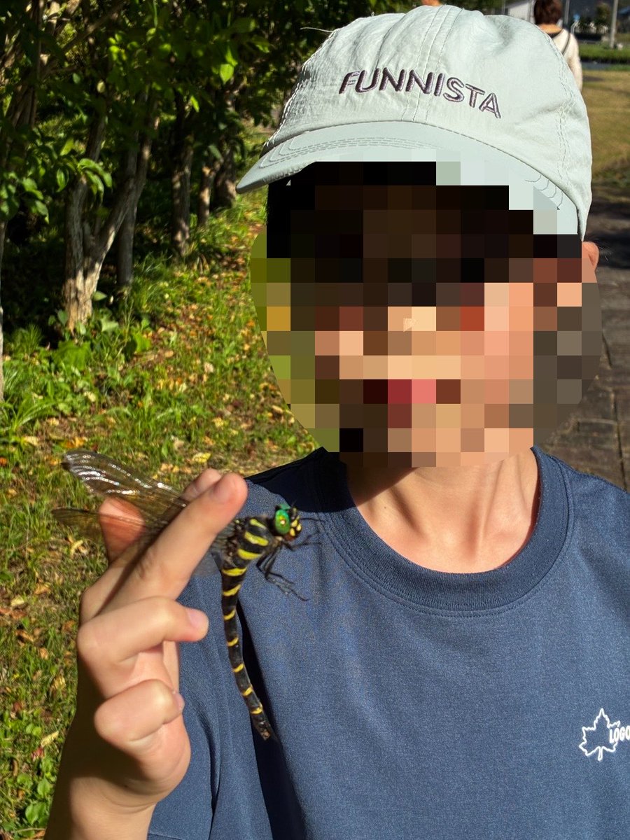 Syrup115g's tweet photo. 自分で捕まえたようだ🕸️ https://t.co/gHoyjeNxrG