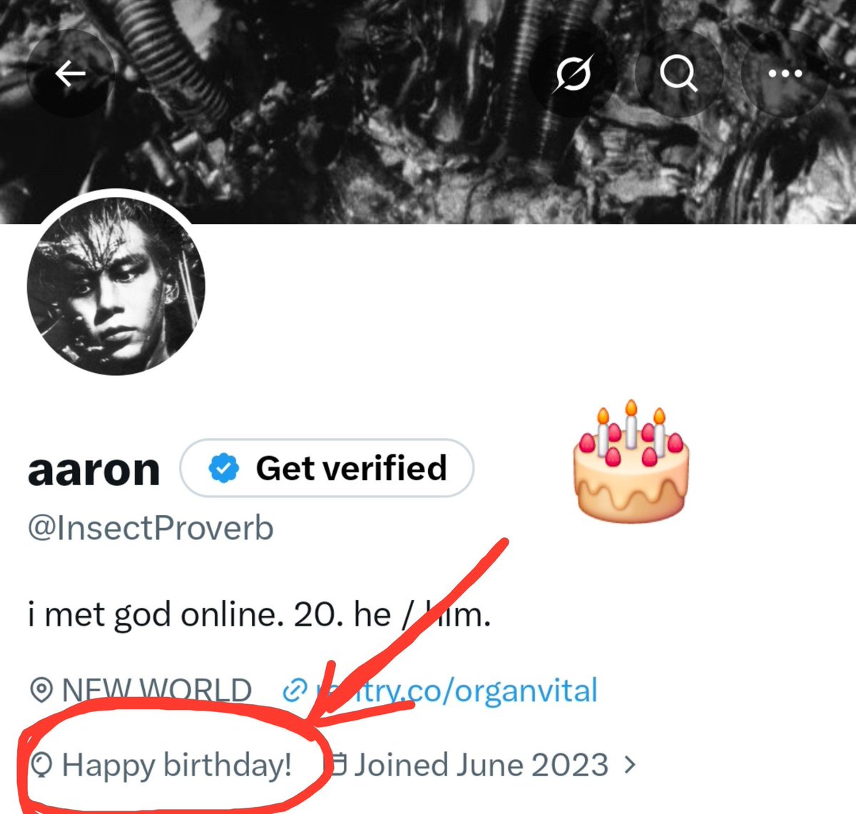 InsectProverb's tweet photo. me ? im birthday https://t.co/b22W2JynEW