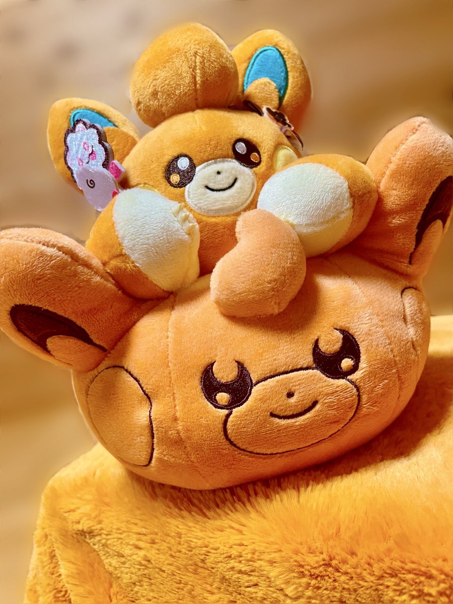 msm_122903's tweet photo. 可愛いの大渋滞🫶🎃🥞🧡✨️
早めの誕プレありがとう🥹⚡️✨
#パモ
#ポケモン https://t.co/VJ3k5w0s6T