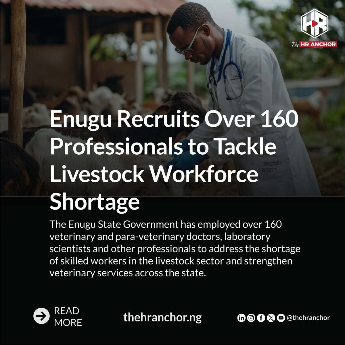 TheHRAnchor's tweet photo. Enugu Recruits Over 160 Professionals to Tackle Livestock Workforce Shortage
Read the full story here
https://t.co/S7RqCWD210
#enugu #recruitment #workforceshortage #thehranchor https://t.co/5qOKpSRPng