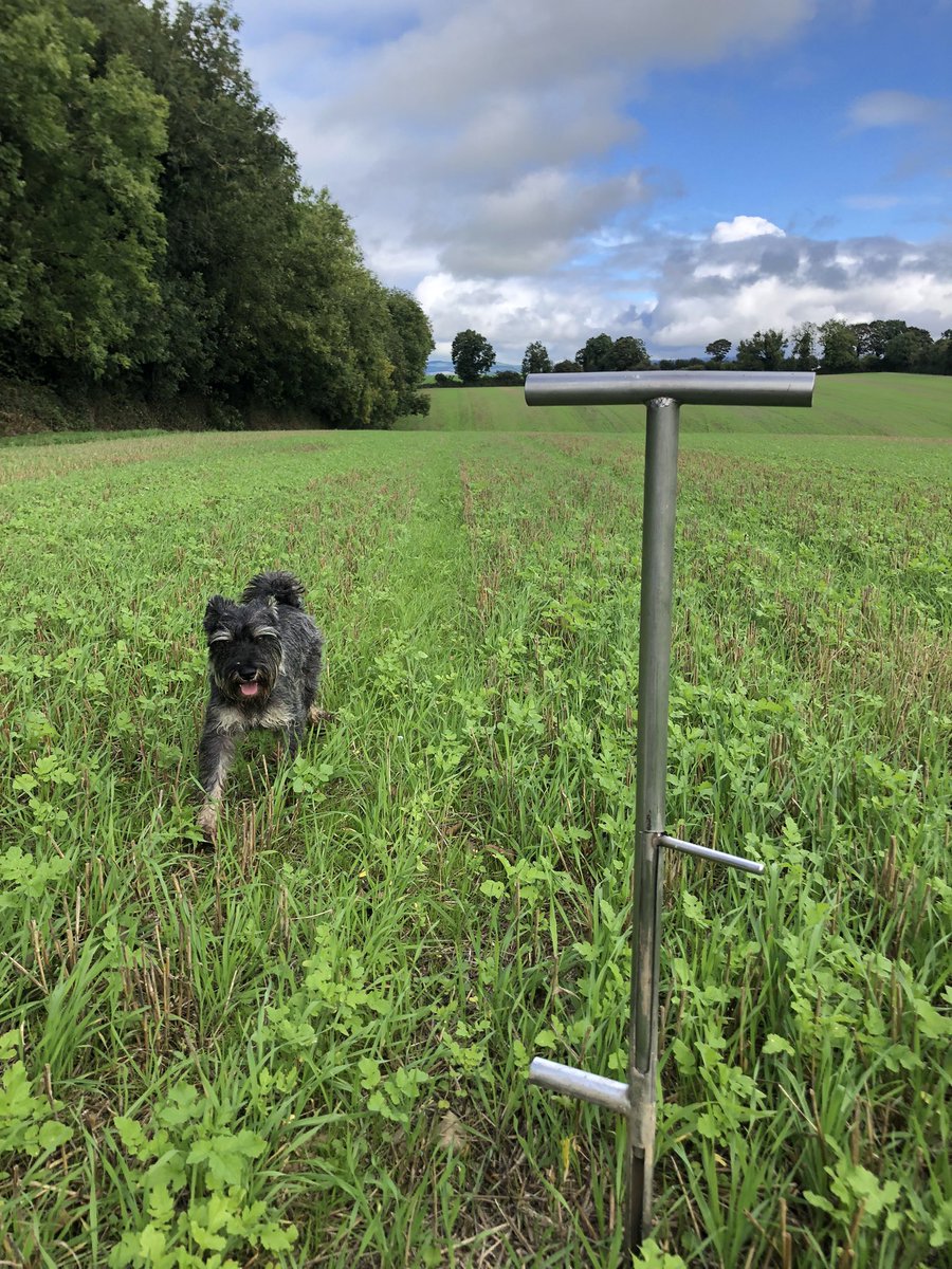 ArableSam's tweet photo. #soilsampling one of my favorite jobs.
#agronomydogs
#arableireland https://t.co/bTQ0h44lGu