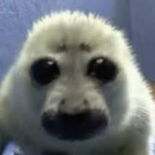 Social_paradocs's tweet photo. Anyone got a dog or pet that just randomly be staring at them like this? https://t.co/K90HVWftky