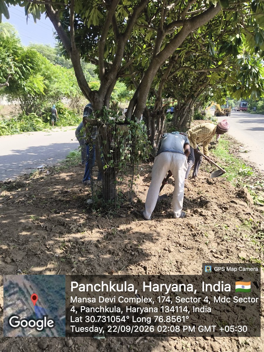 PMDAPanchkula's tweet photo. Committed to smoother, safer roads for the residents of Panchkula.
#Panchkula #MDCPanchkula #RoadRepair #Infrastructure #SmartCity #Sector3Panchkula #Sector4Panchkula #DolphinChowk #Saketri #RoadSafety #CivicWork #BetterRoads #HaryanaDevelopment #PMDA #UrbanDevelopment https://t.co/x0WU98nE5O