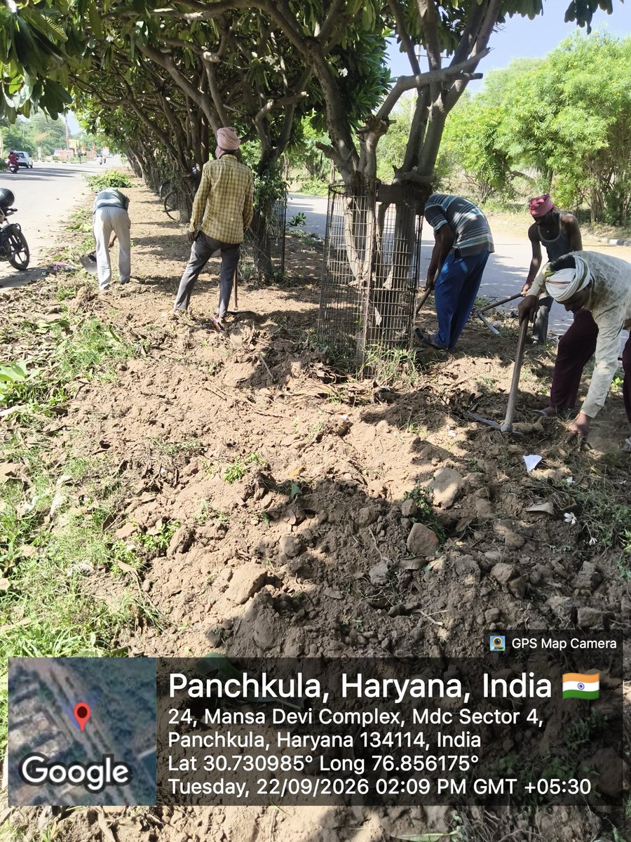 PMDAPanchkula's tweet photo. Committed to smoother, safer roads for the residents of Panchkula.
#Panchkula #MDCPanchkula #RoadRepair #Infrastructure #SmartCity #Sector3Panchkula #Sector4Panchkula #DolphinChowk #Saketri #RoadSafety #CivicWork #BetterRoads #HaryanaDevelopment #PMDA #UrbanDevelopment https://t.co/x0WU98nE5O