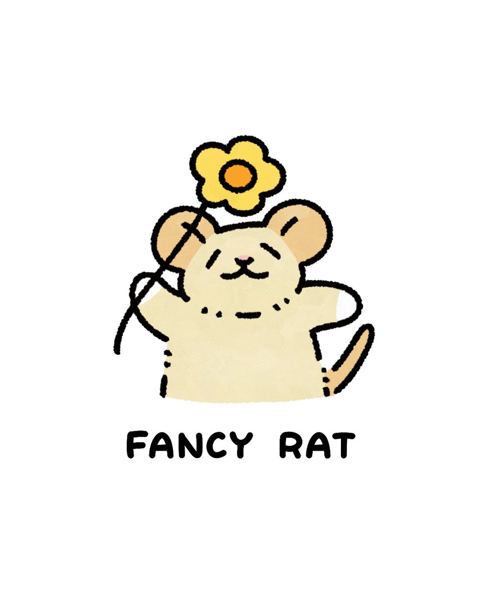 fancy_na_rat's tweet photo. 小さなラットが大きなお知らせの準備をしています！ﾜｸﾜｸ!!🐀🌻
#ファンシーラット https://t.co/O2jPahyWek