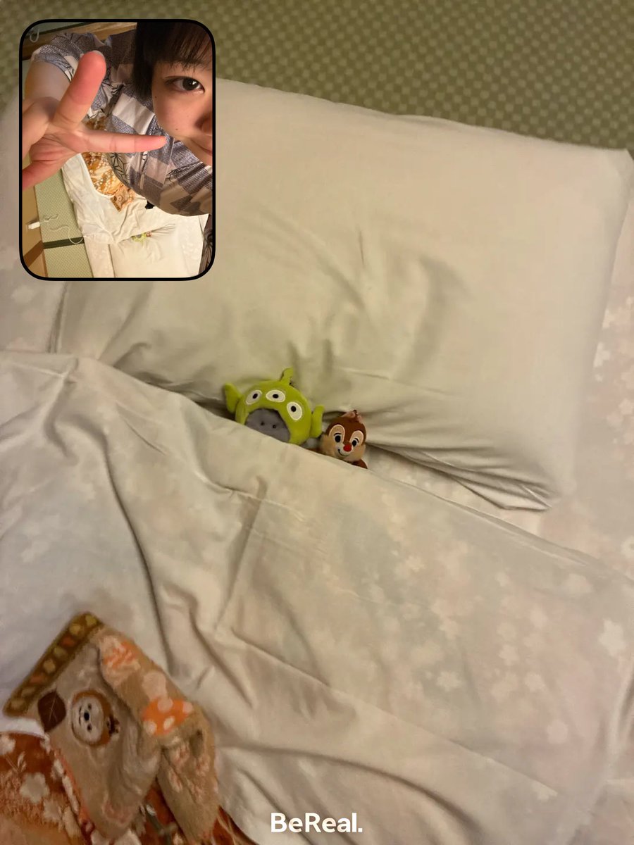 nano3team's tweet photo. すやすや眠る https://t.co/mVTpBqoKU6