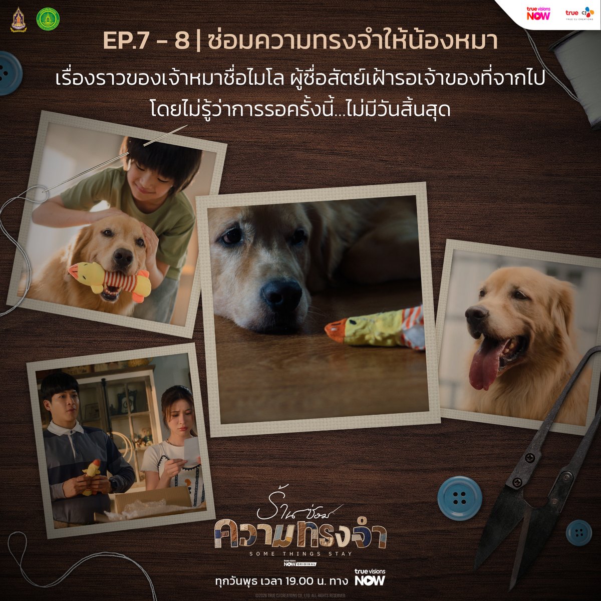 truecjcreations's tweet photo. ย้อนดูทุกความทรงจำที่ “ร้านซ่อมความทรงจำ” เคยซ่อมตั้งแต่ EP.1-8 🤍 แล้วคุณล่ะ...เสียน้ำตาให้กับความทรงจำไหนที่สุด?

🧸🧵 #ร้านซ่อมความทรงจำ #SOMETHINGSSTAY
📍 ทุกวันพุธ เวลา 19:00 น. ทาง #TrueVisionsNOW 👉 https://t.co/yaPubAMJq3

#TrueCJ #TrueVisionsNOWOriginal
#มาร์ชจุฑาวุฒิ #supassra_sp #เก้าสุภัสสรา #เก้าสุภัสสราทิพ #เป้อารักษ์
