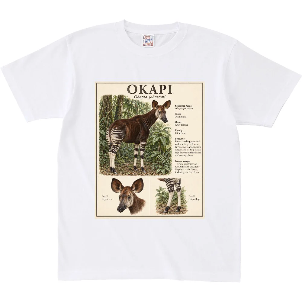 オカピ様 公式】UP-Tマーケット【グッズ販売中】 on X: 