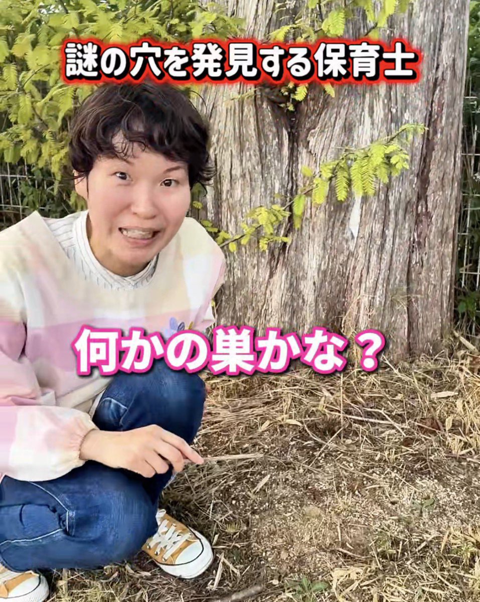 taikoobasanda's tweet photo. 本日の保育士あるあるは！？
ちょっぴり秋を感じる動画です☺️🍂
https://t.co/Wyb8bXFUrv https://t.co/CDQtCz9Pjp