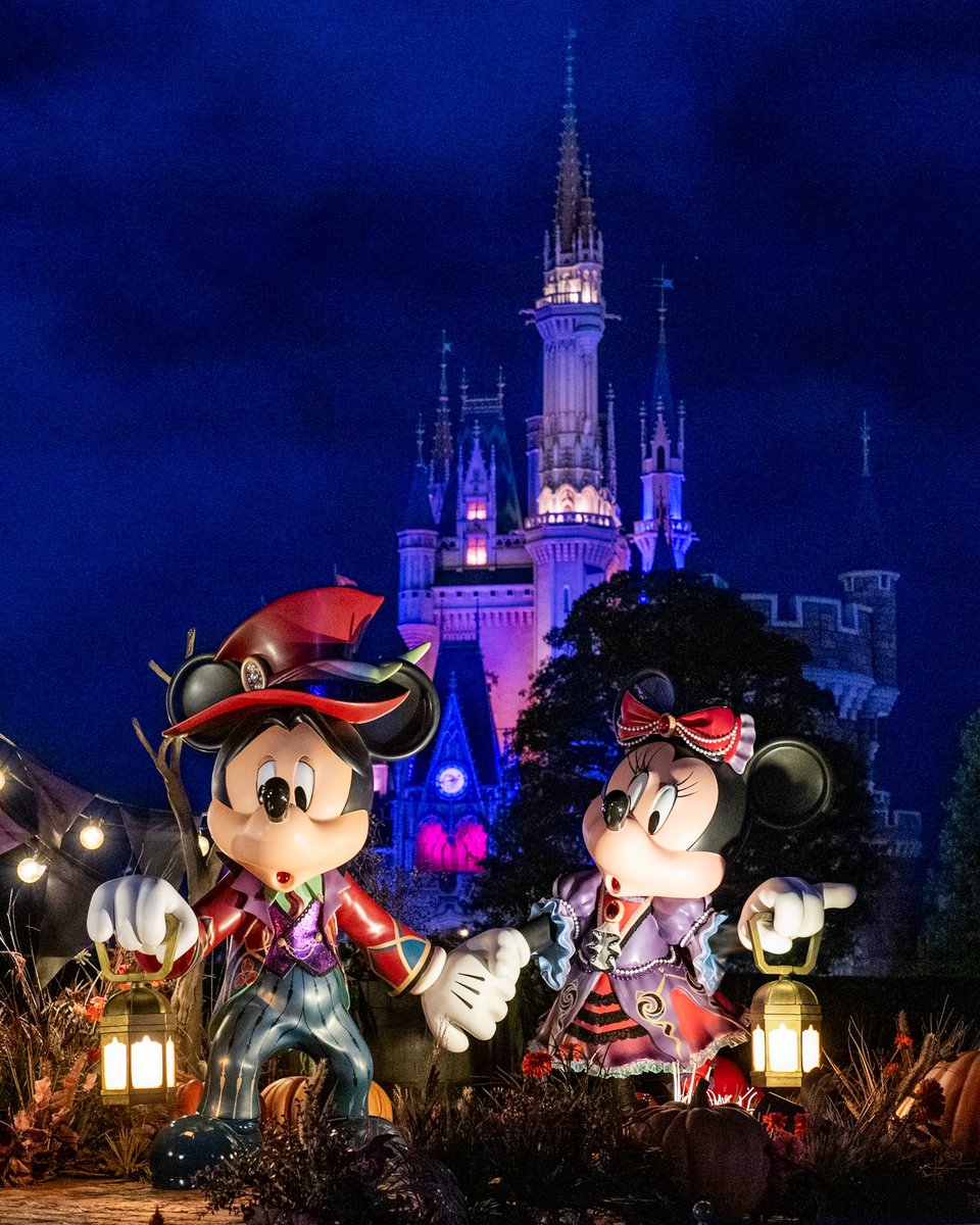MezzoMikiD's tweet photo. 夜の東京ディズニーランド☆
https://t.co/t1vwpb37th https://t.co/7trhVDrKaU