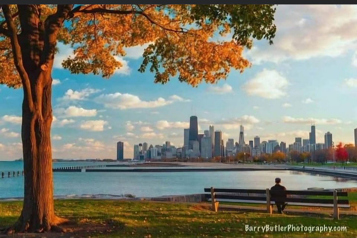 cwharris773's tweet photo. And, all at once, summer collapsed into fall.
~Oscar Wilde

Photographer: @barrybutler9 https://t.co/hPJfZpxlHK