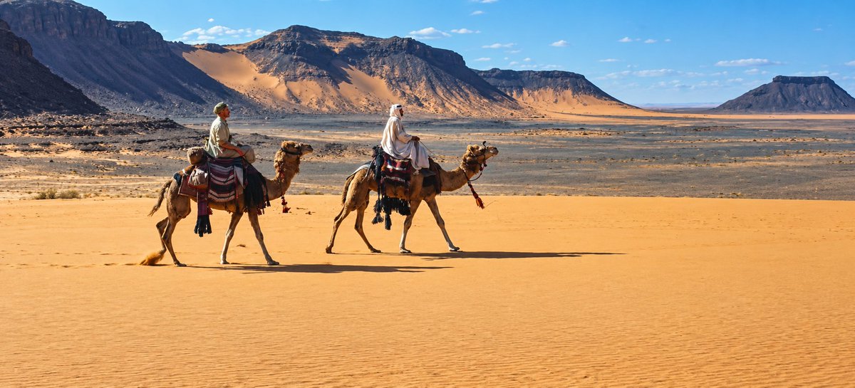 cinemaexplorerr's tweet photo. 🎬 Lawrence of Arabia (1962)
Country : UK 🇬🇧

1080p BluRay 📎 https://t.co/qYWwBLNYYy