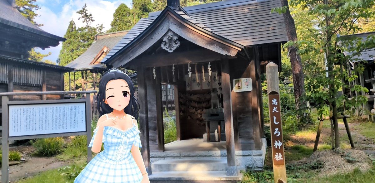 P36450802's tweet photo. ・蒼柴神社にて
境内には、かつての長岡藩主が可愛がっていたという犬🐶を祀った「忠犬しろ神社」が。
かつての主人が祀られる神社に、隣り合う様に建った社…忠犬の誉れやね🥲 https://t.co/NsFtLMCndA