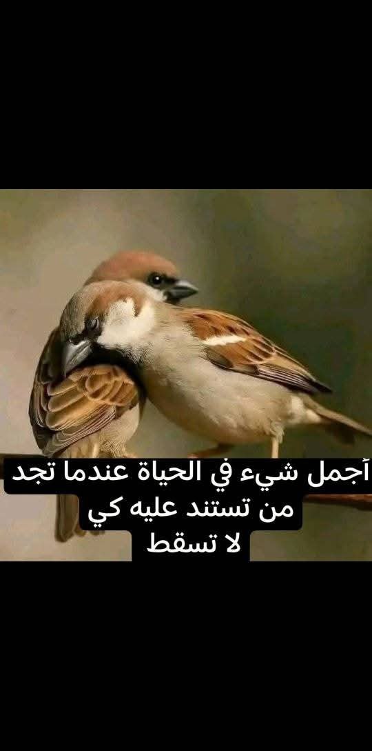 AlmondrAsgr's tweet photo. https://t.co/W49DcdyUTY