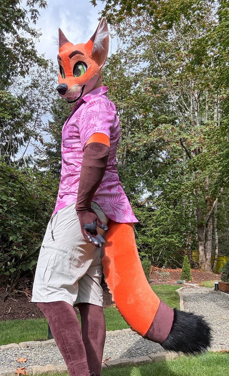 Irbis_Midnay's tweet photo. Which style suits this fox better? https://t.co/Xwik66Avbs