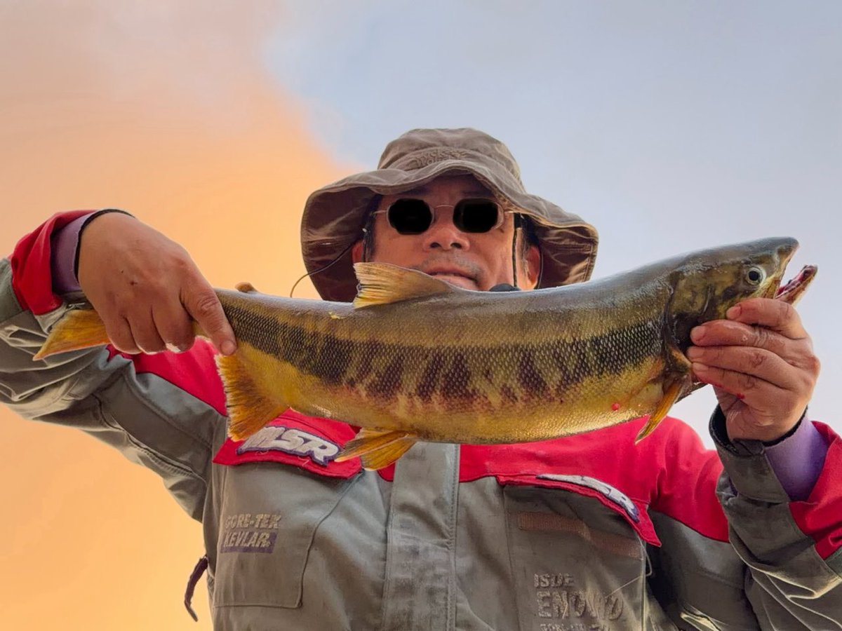 dominator_nx650's tweet photo. 今回の旅の目的は３つ！
３つめサケを釣る🎣
ラストミッションクリアです😆
サケ釣ったど〜👏👏👏 https://t.co/HQv2uOp4qx