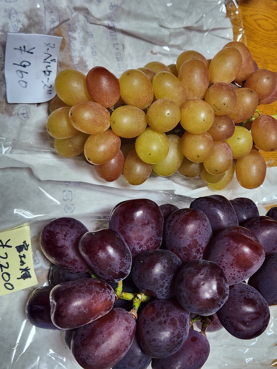 pine_pine's tweet photo. 今日はしょぞくしている楽団のぶどう狩り🍇
お天気も良く、快適！
シャインマスカットは甘くてたくさん食べるの大変(笑)
氷はやっぱり必須🫰
あと生ハムも合う！
行く人はポテチとかお腹に貯まらない塩味必要よー✨
写真はヌーベルローズとブラックシャインマスカット🍇 https://t.co/enC9gy8X0n