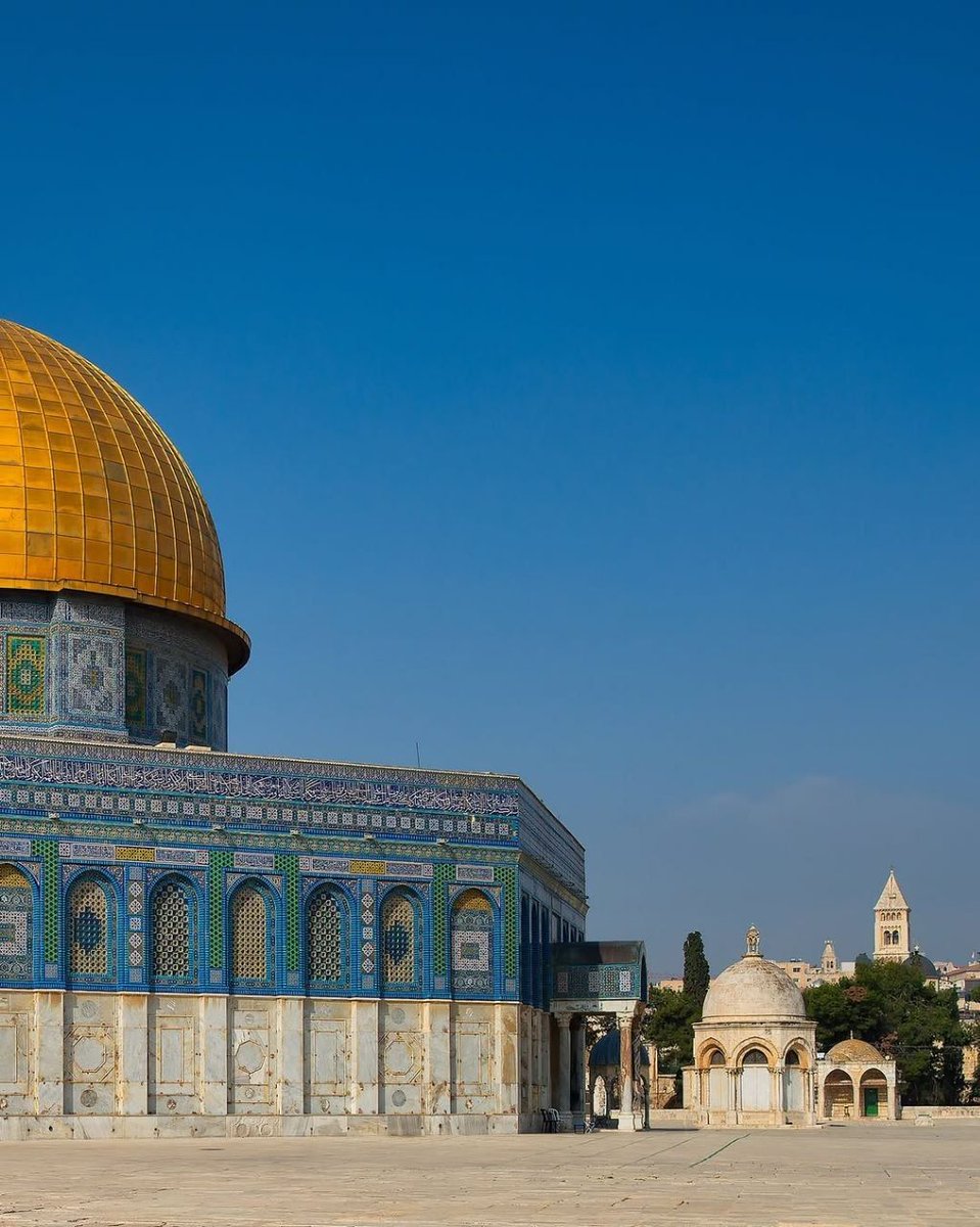 MyPalestine0's tweet photo. قدسنا 🕌✨

زهرة المدائن وبوصلة القلوب 🇵🇸🕌✨ https://t.co/b6rPxgo0pE