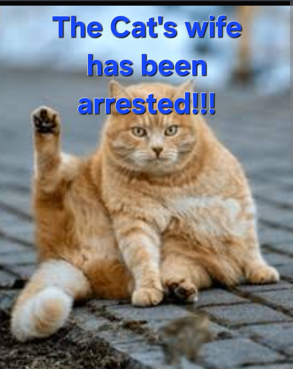 SitholePhill's tweet photo. Cat mum joins husband in Jail https://t.co/1F7CLc7Xqb