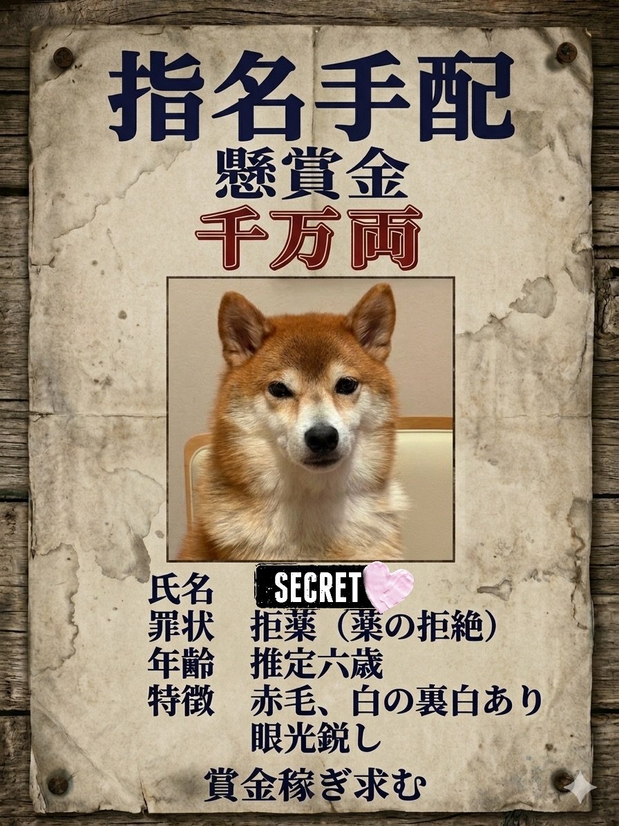 Ko37409937's tweet photo. 薬飲んでくれないので指名手配しました🐶💦 https://t.co/vXd4lUqYjc