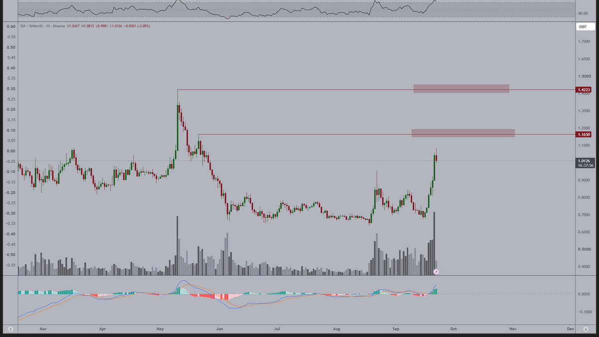 MartynaAIM's tweet photo. $SUI  
just put in a clean little breakout.

Honestly, I think there’s more upside left.

From a technical perspective, two clear resistance zones stand out:

$1.16 and $1.42.

Wouldn’t be surprised at all if we test both of those levels in the coming weeks. https://t.co/ieIURnMYlf
