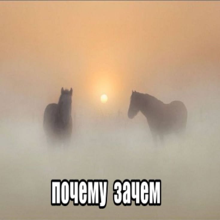 Cloovvi's tweet photo. А ревновать друзей нормально? https://t.co/1BZLkzo7Hh