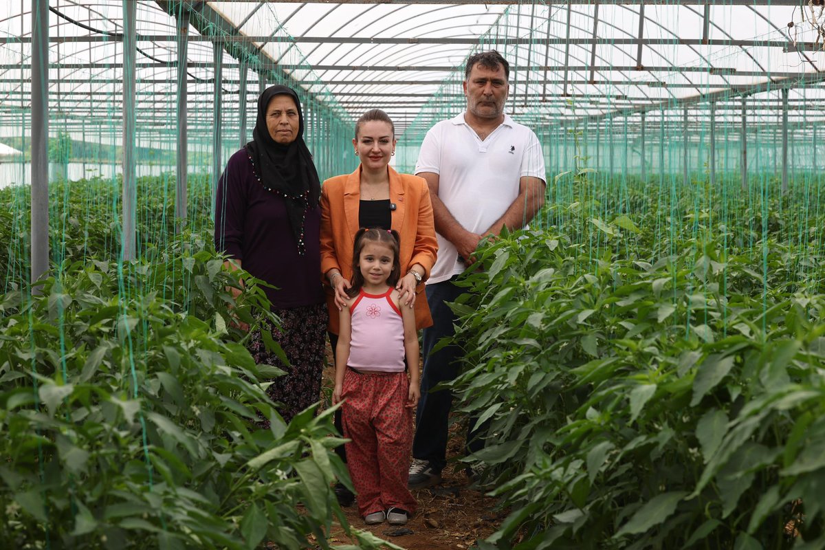 busraozdemirtr's tweet photo. Bugün Serik Burmahancı Muhtarımız Mehmet Büyükavcı’nın serasına misafir olarak Dijital Tarım Uygulamamızla serasının sıcaklık ve nem oranını telefonundan nasıl takip ettiğini yerinde gördük.

Uygulamamız sayesinde üreticilerimiz sıcaklığı ve nemi anlık takip ediyor, don riski olduğunda hızlıca önlem alabiliyor, gece boyunca serada beklemek zorunda kalmadan ürününü kontrol ediyor.

Tarımın başkenti Antalya’mızda üreticimizin işini kolaylaştıran her adımda yanında olmaya devam edeceğiz.