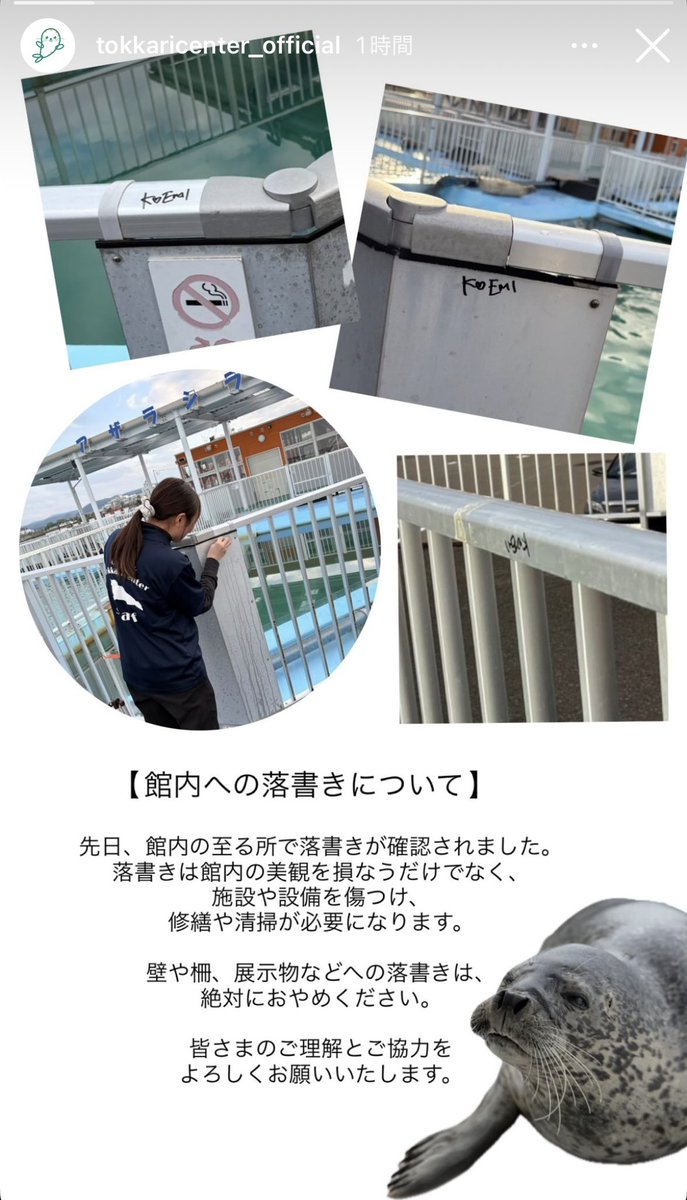 hakuhime_az's tweet photo. ⚠️X公式のお知らせが出たら消します⚠️
とっかりセンターに人名と思われる落書きが複数見つかったとのこと！！
ほんとに許せない。
油性マジックまで持ってきて何やってるの？？
写真で見える2枚は同一人物っぽいし、最低の行為すぎる🦭💢 https://t.co/CUANoocIrY