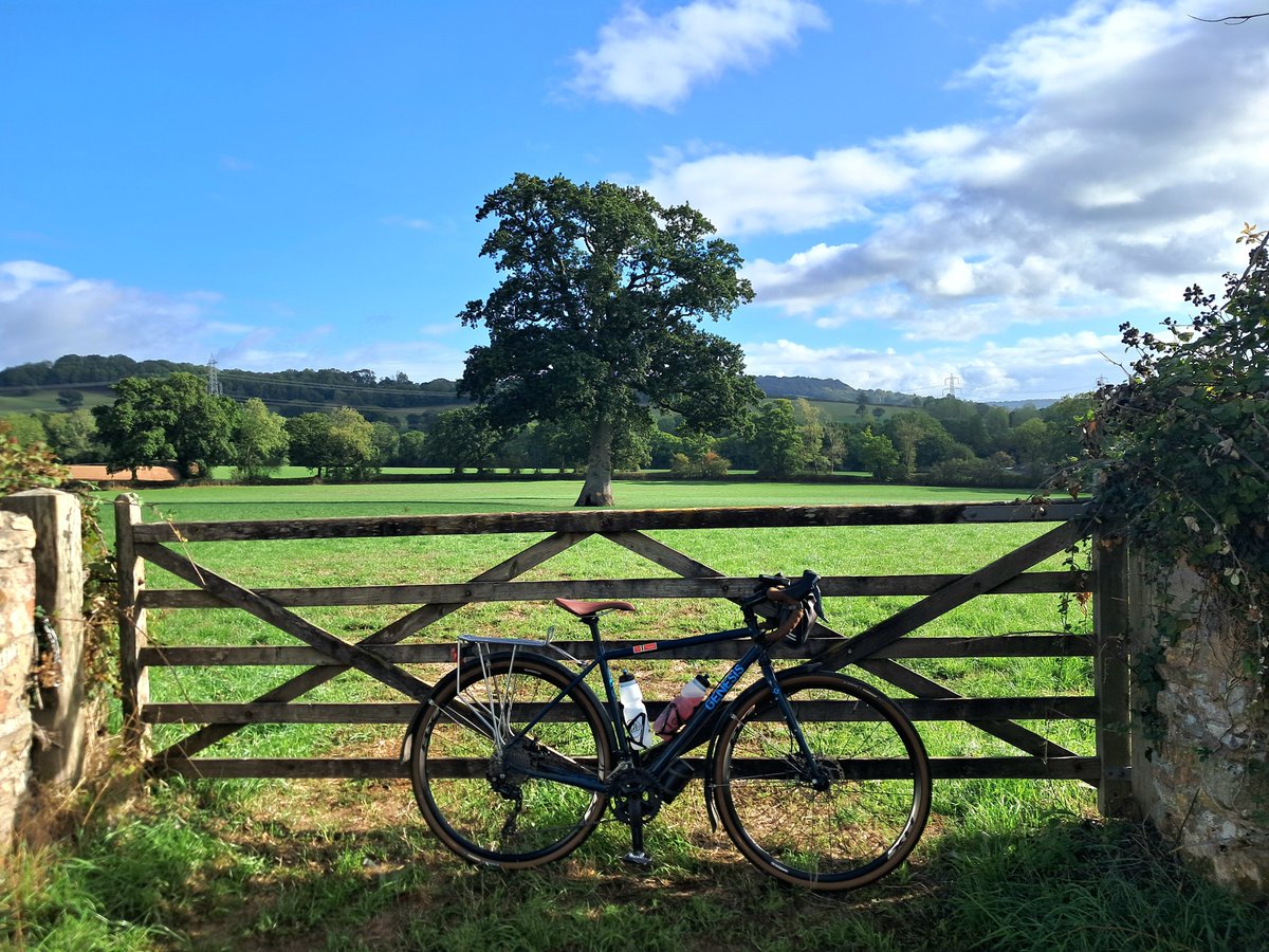 CB_cycles's tweet photo. Happy #thicktrunktuesday #tuesdaytrees 😊 
#bikesandgates #cycling https://t.co/yaefE040pQ