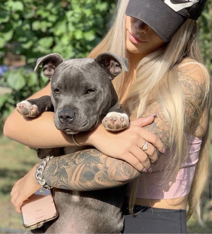 naughtypawzz's tweet photo. Knotty clips with my K9 friend ready⬇️🐶

Telegram: https://t.co/KEEH3gVaQH  or zangi: 3483510691

#zoophillia #zoosarevalid #beastiality #dogknot #zooprideisvalid #zoophile #antizoo #antizoophileantizoo #k9girl #zoopride #zoophilepride #zoopositivity #Bes #dogs #paws https://t.co/aQc4XmCZp0