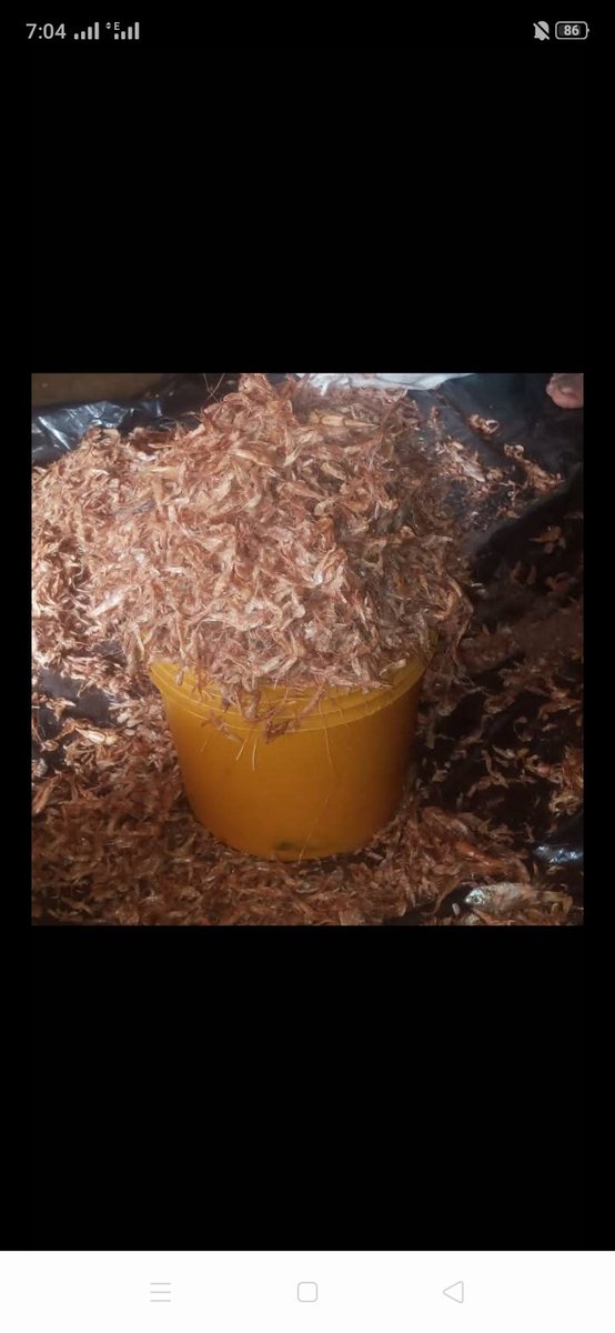 AkonOnobo's tweet photo. @abazwhyllzz I sell pure palm oil and tasty crayfish 
Location:port Harcourt https://t.co/yy2HSQCU65