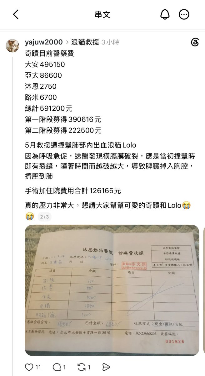 ChinaSiwon's tweet photo. So爛救援人 延醫重傷病危浪🐱
不只呑捐款
然後 還提告 善心接手的救援中途

這些爛人 這樣作孽的事
這個人務必要列入救援黑名單啦😡😡😡
 https://t.co/2Rk7On9yNA https://t.co/J3gJI87yqh