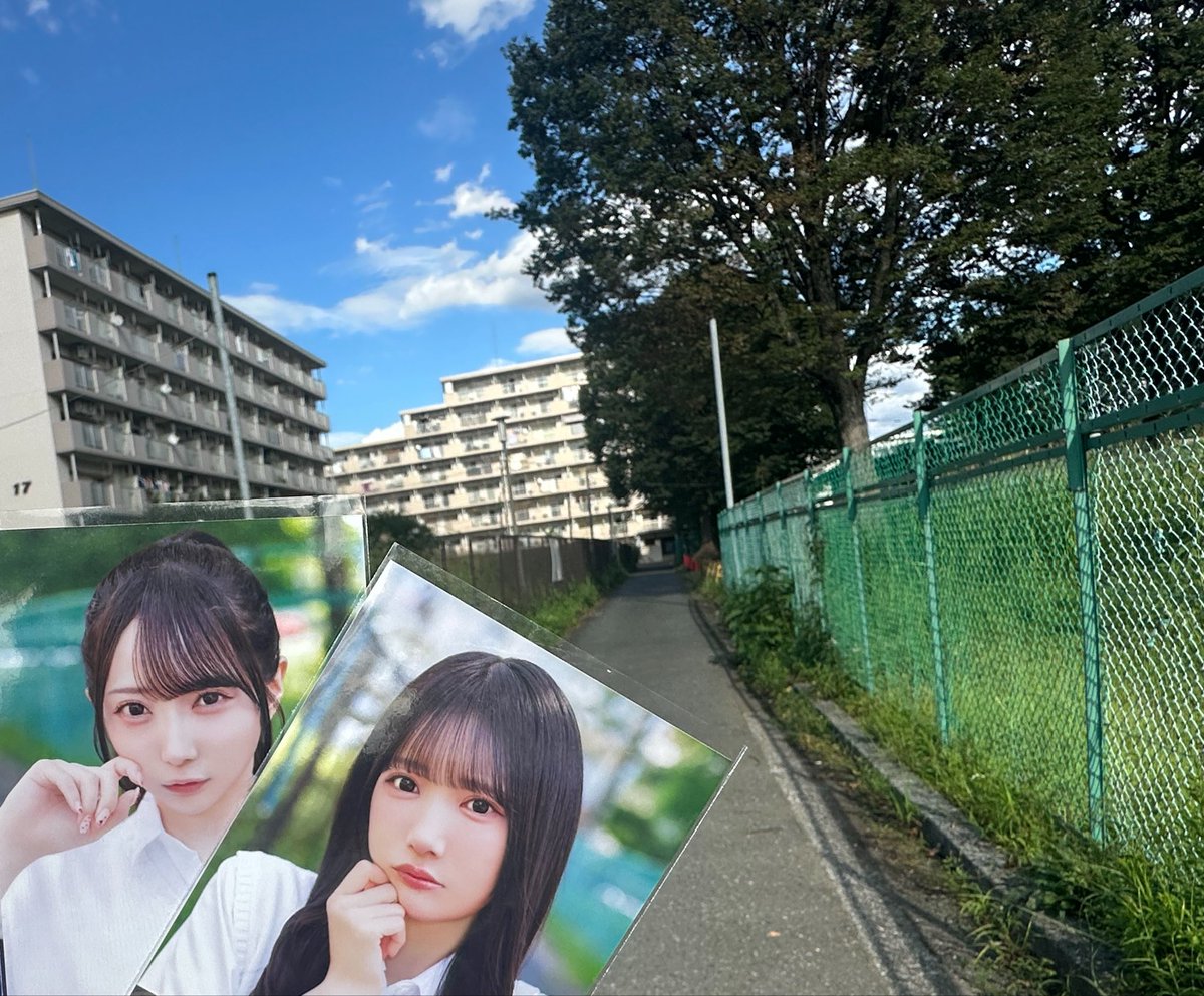 koi_koi9's tweet photo. 愛くださいませ MV聖地
桐ヶ丘中央商店街に行ってきました！
やっぱ聖地来るとめっちゃテンション上がる〜
くっそ蚊に刺されたけど気にせんくらい楽しかった
 #ノイミー
 #愛くださいませ https://t.co/lWkzfAkxRR