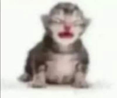 torkemada71's tweet photo. White people when I throw mayo in their eyes https://t.co/OK49UoQKV8