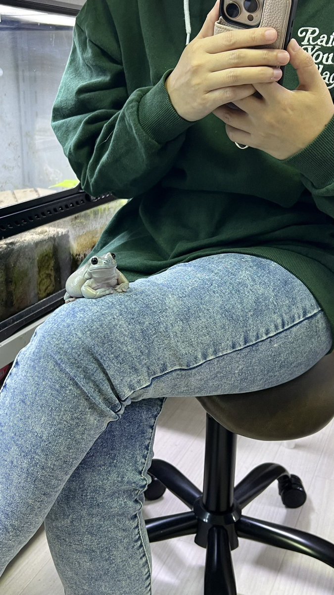 PIYO_KAERU's tweet photo. 飼い主の膝の上でくつろぐ柚子さん https://t.co/dFFYg90QNX