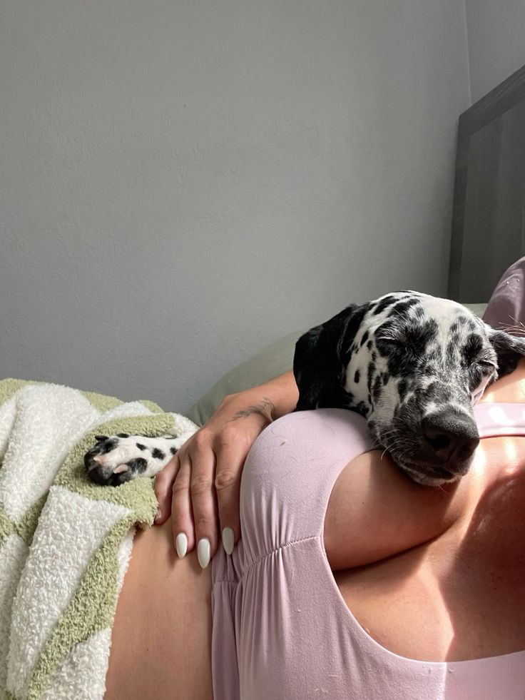 Andikamasiver's tweet photo. Come satisfy your fantasy as you watch me get knotted by my beast 🐶🐾Curiousity ride to adventures

https://t.co/3jBVQFj6p7

#doglover #dogknotting #dogsex #knotty  #dog #puppy #dogwhore #dogwoman #transgender  #dogwhore #artofzoo #zoocontents #beastiality #taboocontents https://t.co/AP4jWBSxfV