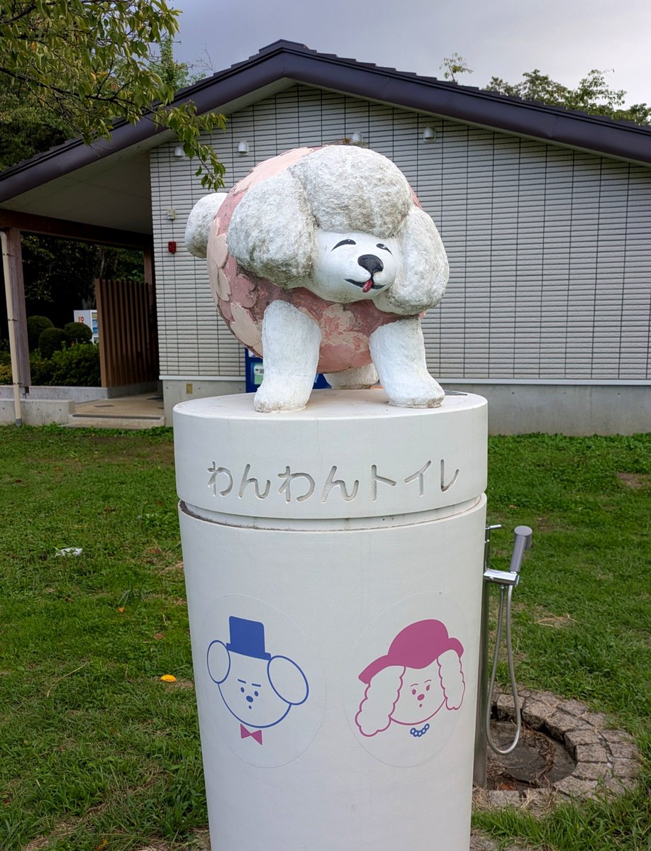 P36450802's tweet photo. ・悠久山公園　広場にて

凄く良い顔で小便をする、イヌ
𝐵𝐼𝐺 𝐿𝑜𝑣𝑒 https://t.co/tsxxmBTtbQ