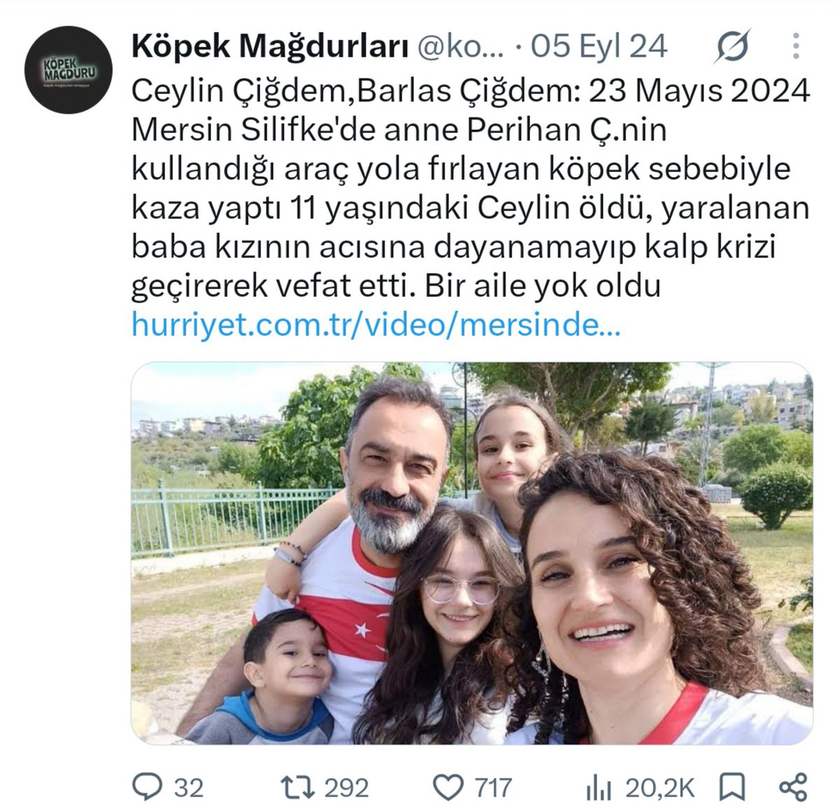 tivitliyo's tweet photo. köpeklerin başıboş dolaşma keyfi için ne kadar güzel aileler yok oldu ya😔 https://t.co/Sw3l7J98td
