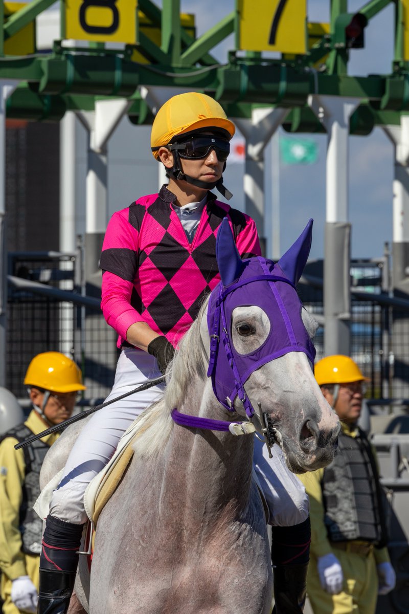 WateUmai's tweet photo. #アルデムラータ
 #ゴールドシップ
 #岩手競馬 https://t.co/nSIzcr1msi