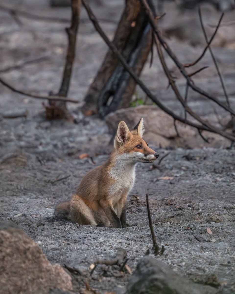 brig_dm's tweet photo. "C'est une triste chose de songer que la nature nous parle, et que le genre humain n'écoute pas". 
(Victor Hugo) https://t.co/GLBGpB2yCZ