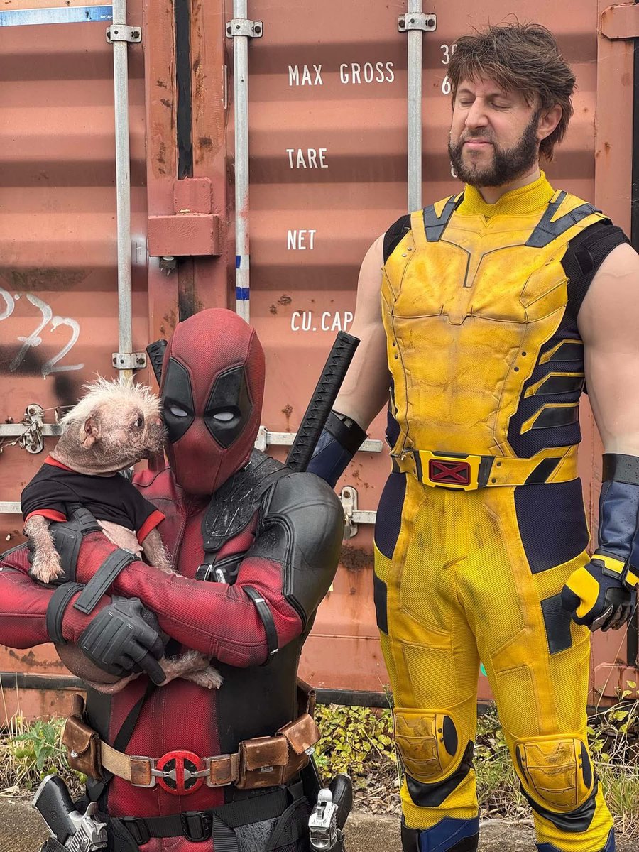 WolverSteve's tweet photo. #OnThisDay 2 years we were in the company of pooch royalty with #PeggyThePug 🐾 aka #Dogpool #DeadpoolAndWolverine #Deadpool #Wolverine #PhotoShoot https://t.co/lxZ4EWeeZd