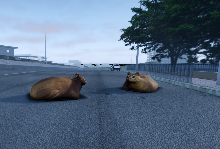 Wondering_Quail's tweet photo. The car https://t.co/pVK4H4Mr62